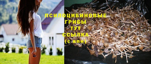 трава Аркадак