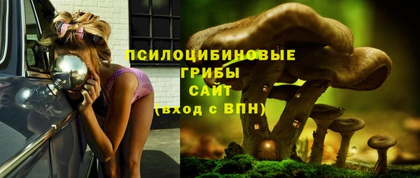 прущие крисы Алексин