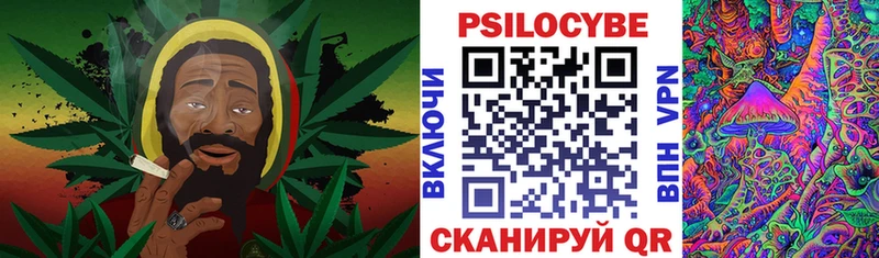 Галлюциногенные грибы Psilocybine cubensis  MEGA tor  Талица  где продают  